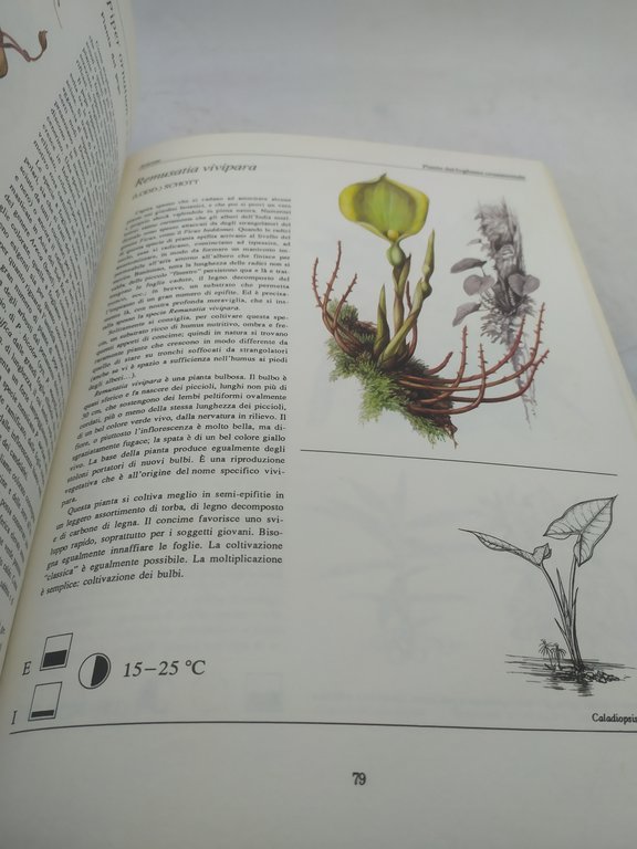 piante per la casa 225 illustrazioni a colori fratelli melita …