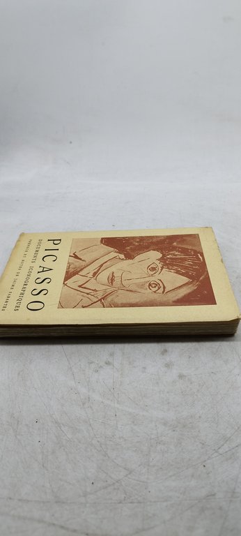 picasso documents iconographiques