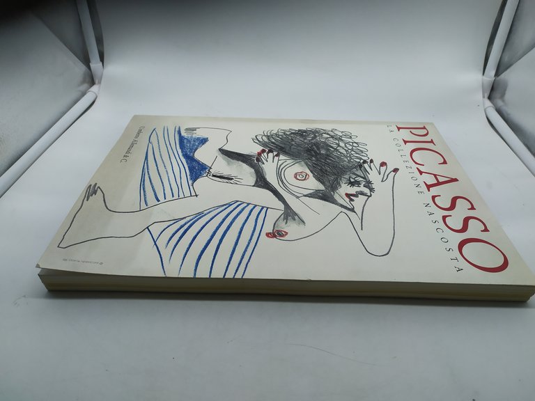 picasso la collezione nascosta umberto allemandi &amp; c.