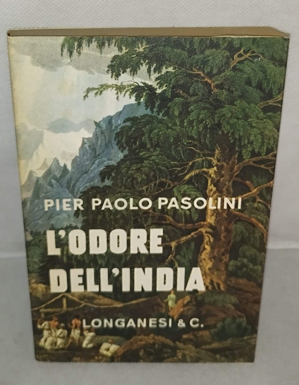 pier paolo pasolini l'odore dell'india longanesi | Immagine principale