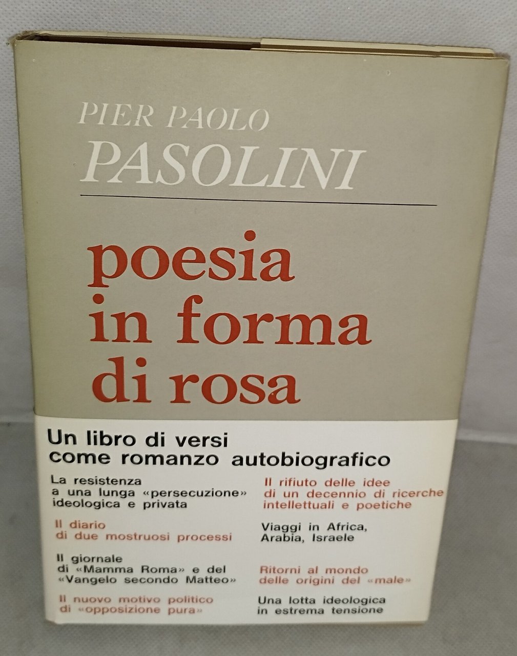 pier paolo pasolini poesia in forma di rosa | Immagine principale