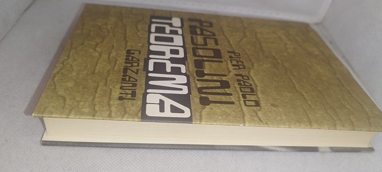 pier paolo pasolini teorema garzanti | Immagine Gallery 4