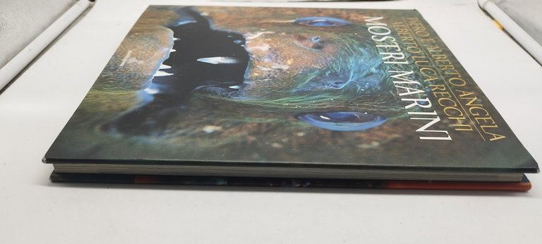 piero e alberto angela alberto luca recchi mostri marini mondadori