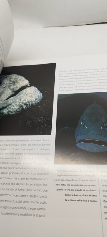 piero e alberto angela alberto luca recchi mostri marini mondadori