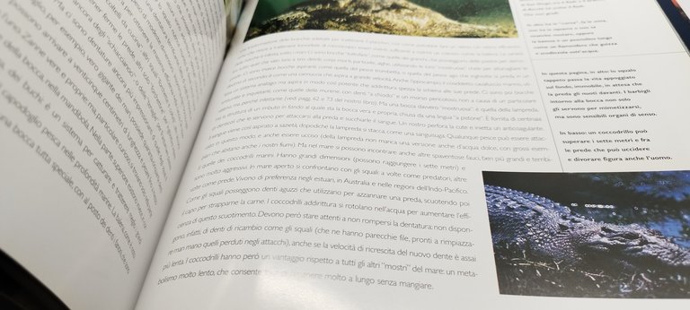 piero e alberto angela alberto luca recchi mostri marini mondadori