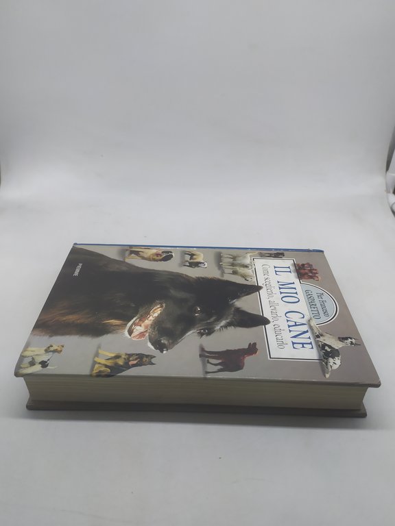 piero francesco gasparetto il mio cane come sceglierlo allevarlo educarlo …