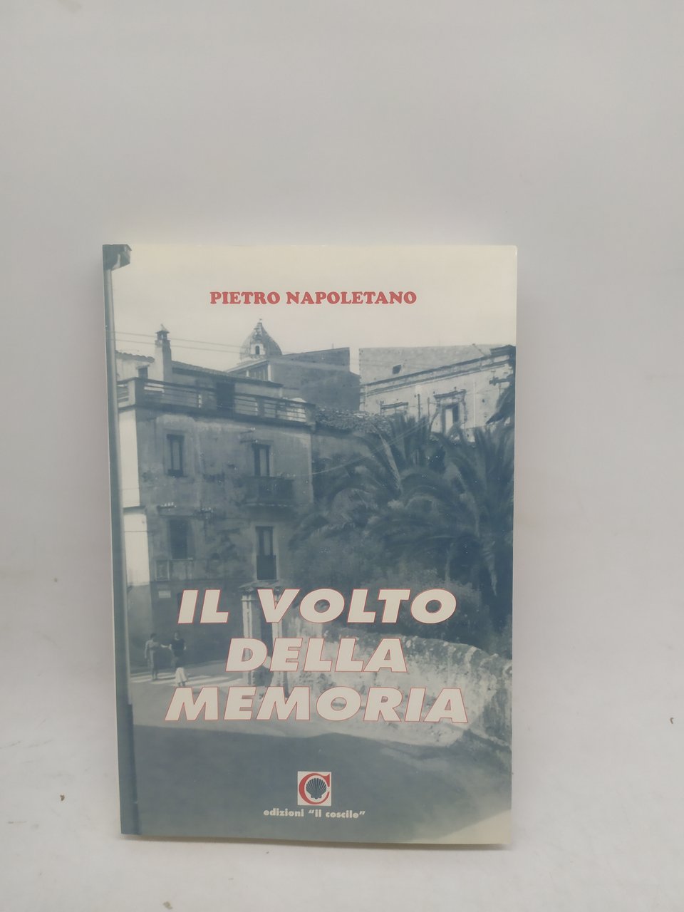 pietro napoletano il volto della memoria