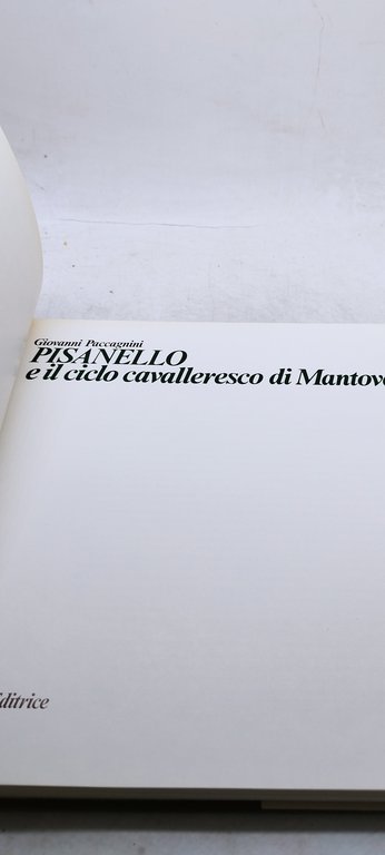 pisanello e il ciclo cavalleresco di mantova electa