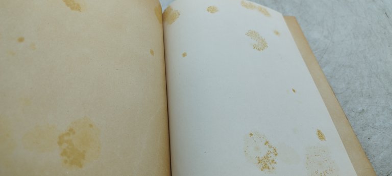 poesie di luca ghiselli