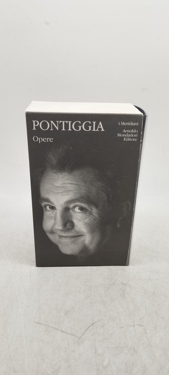 pontiggia opere i meridiani mondadori