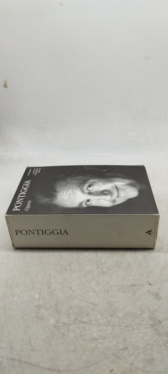 pontiggia opere i meridiani mondadori