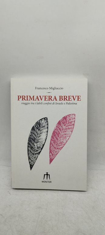 primavera breve viaggio tra i labili confini di israele e …