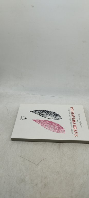 primavera breve viaggio tra i labili confini di israele e …