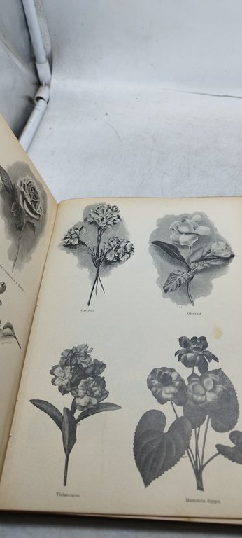 primavera della vita l'italia giovane hoepli