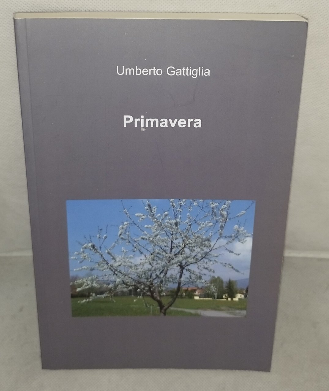 primavera umberto gattiglia | Immagine principale