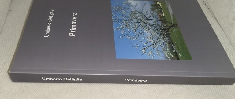 primavera umberto gattiglia | Immagine Gallery 3