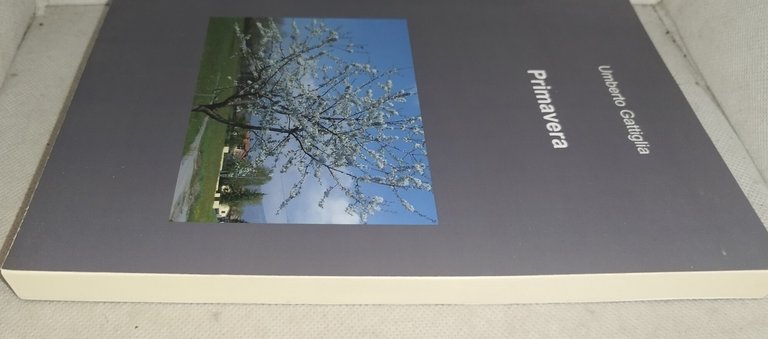 primavera umberto gattiglia | Immagine Gallery 4