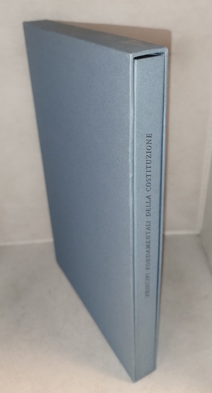 principi fondamentali della costituzione italiana i primi dodici articoli | Immagine principale