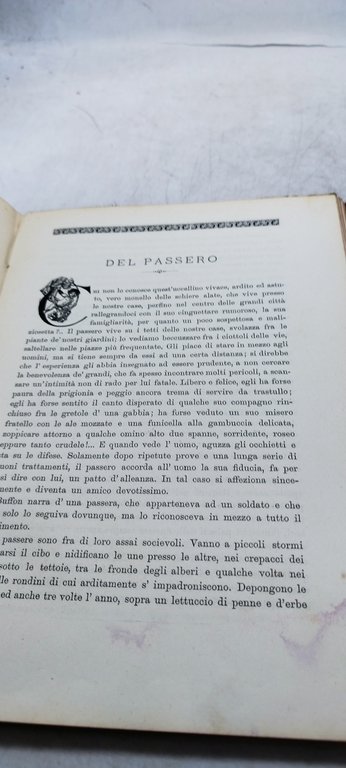 prof iginio gentile buoni e forti hoepli