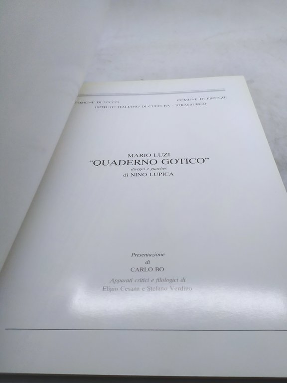 quaderno gotico. la parola di luzi e lo sguardo di …