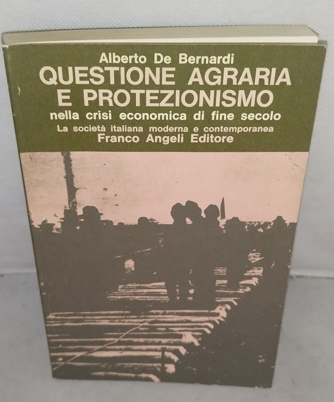 questione agraria e protezionismo nella crisi economica di fine secolo | Immagine principale