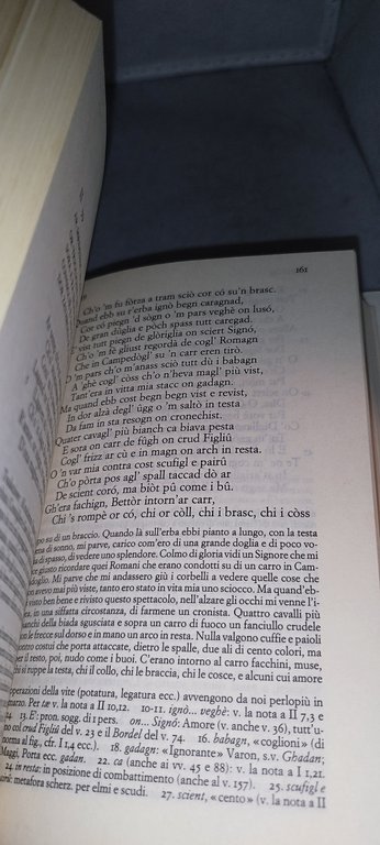 rabisch giovan paolo lomazzo einaudi 1993 | Immagine Gallery 9