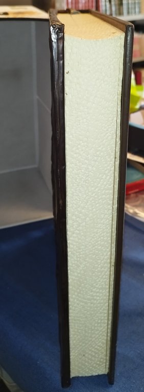 regalità di torino valentio brosio giuseppe pella editalia