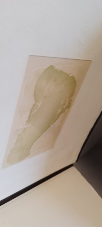 regalità di torino valentio brosio giuseppe pella editalia