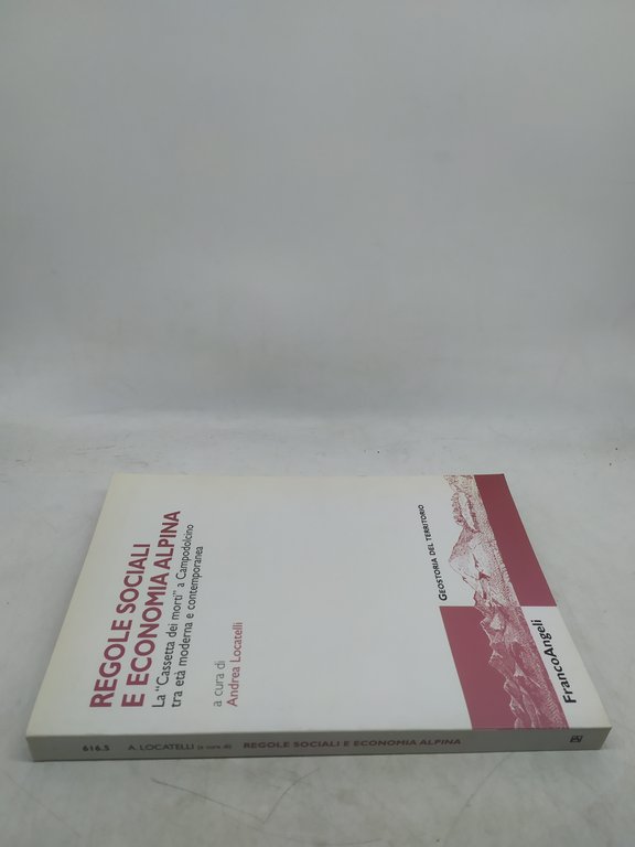 regole sociali e economia alpina franco angeli geostoria del territorio