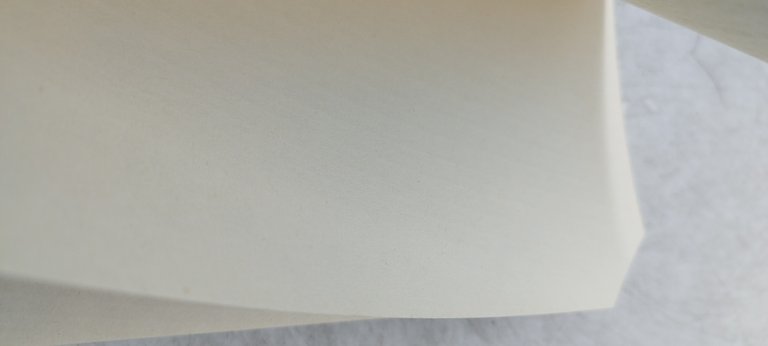 renato del ponte i liguri etnogenesi di un popolo