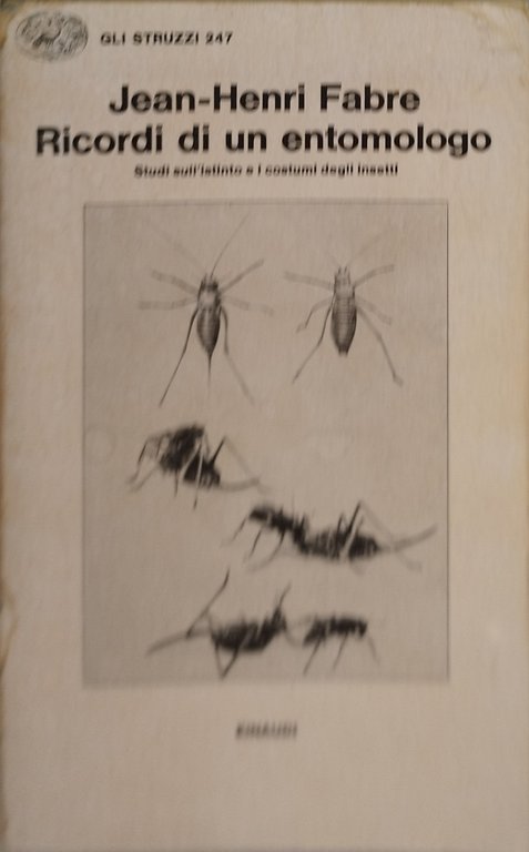 ricordi di un entomologo | Immagine Gallery 1