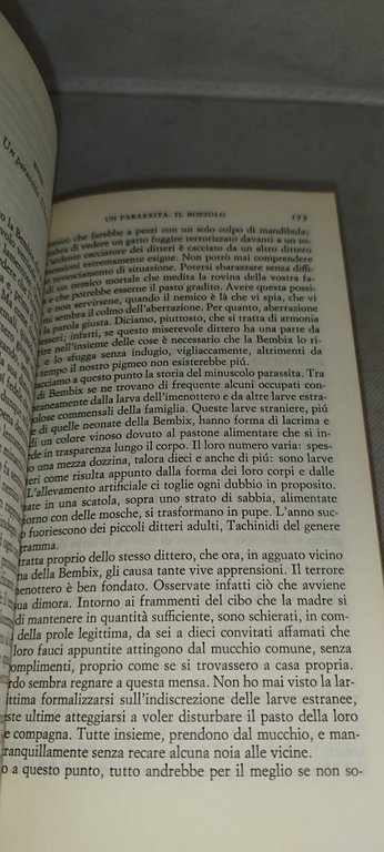 ricordi di un entomologo