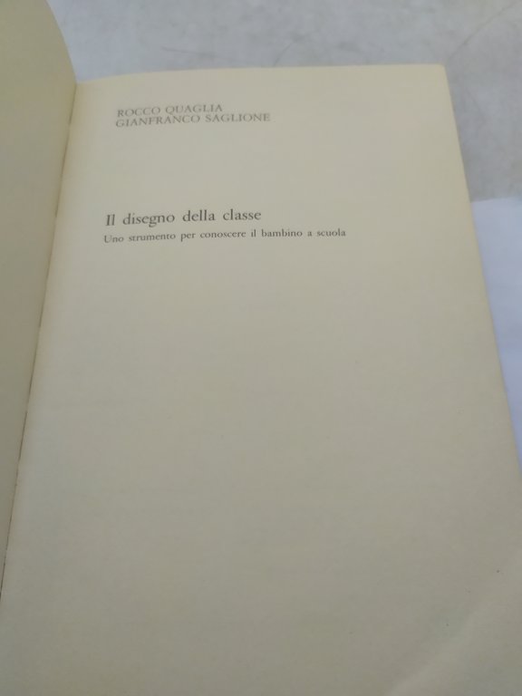 rocco quaglia gianfranco sagione il disegno della classe bollati boringhieri