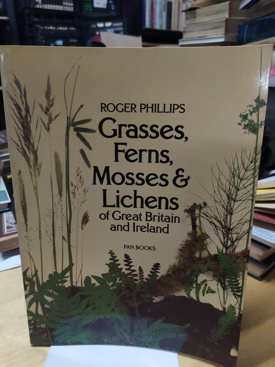 roger phillips grasses ferns mosses &amp; lichens of great britain …