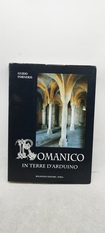 romanico in terre d'arduino