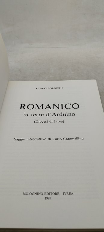 romanico in terre d'arduino