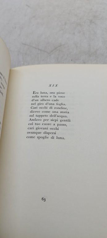 romanzo all'insegna del pesce d'oro aquario