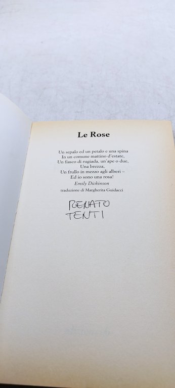 rose del cairo racconti di scrittrici egiziane edizione e/o