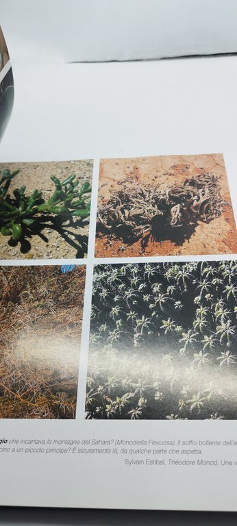 sahara fotografie di christian sappa