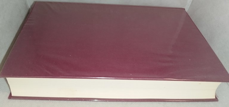 san girolamo opere scelte classici utet | Immagine Gallery 5