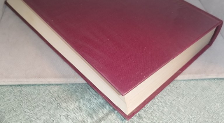 san girolamo opere scelte classici utet | Immagine Gallery 7