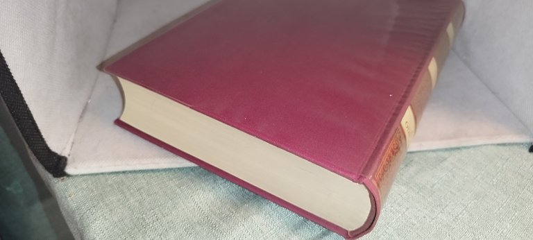 san gregorio magno omilie sui vangeli rgola pastorale classici utet | Immagine Gallery 4