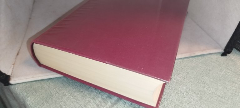 san leone magno omilie lettere classici utet | Immagine Gallery 4