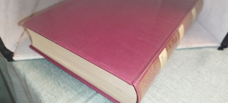 san leone magno omilie lettere classici utet | Immagine Gallery 5