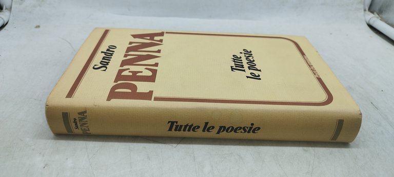 sandro penna tutte le poesie