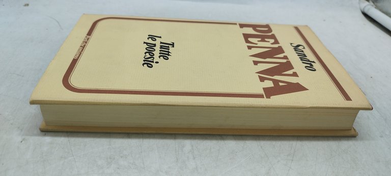 sandro penna tutte le poesie