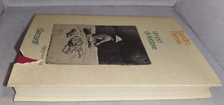 sandro penna un po' di febbre garzanti | Immagine Gallery 3