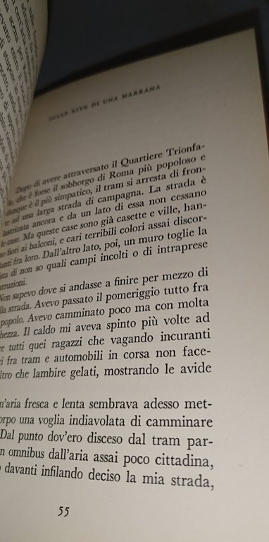 sandro penna un po' di febbre garzanti | Immagine Gallery 6