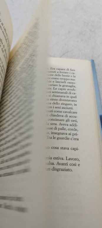 se chiedi al vento di restare