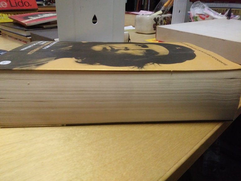 senza perdere la tenerezza vita e morte di ernesto che …